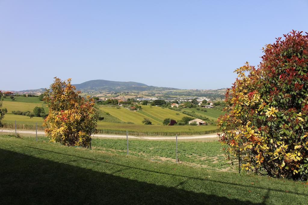 Villa Belvedere Degli Ulivi Озімо Екстер'єр фото
